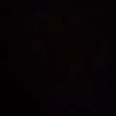 専用
