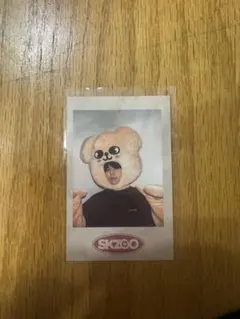 Stray Kids SKZOO チェキ風フォトカードのサムネイル