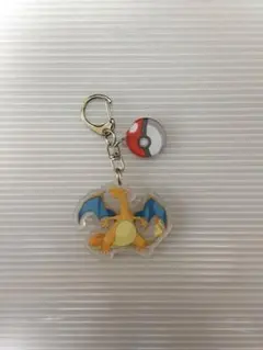 리자몽 アクリルキーホルダー 포켓몬