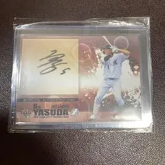 直筆サインカード スポーツカード