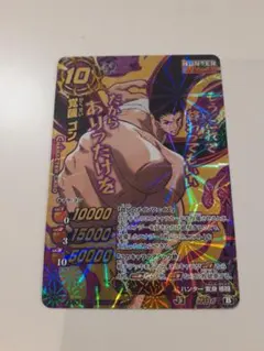 【神Ω6[B]】覚醒 ゴン「神Ωレア」