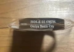 LUNA SEA 秦野 シリコンブレス 5/29 ラバーバンド - メルカリ