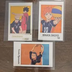 ハイキュー!!キャラポトレ2