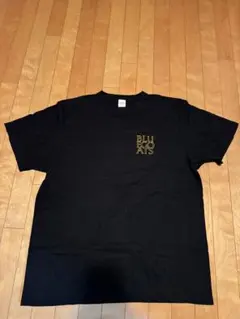 Item thumbnail for item 80df0385-bb88-49f1-b7c8-794a4de5ac56