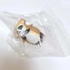 サメにゃん　フィギュア　シュモクザメ　モフサンド