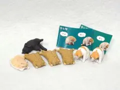 Item thumbnail for item 24f28814-0bde-441f-896a-18bc587b65f2