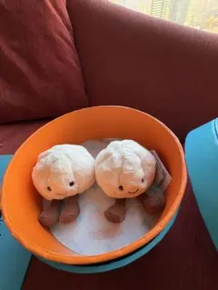 Jellycat限定Amuseables Yum & Sum Dumplings