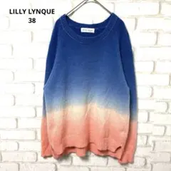 LILLY LYNQUE 長袖　ニット　アンゴラ　グラデーション　おしゃれ　38