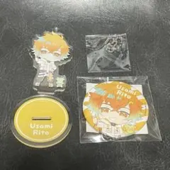 にじさんじ 宇佐美リト アクスタ 缶バッジ