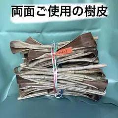 Item thumbnail for item c49e99a0-052b-4170-b917-f463181e6647