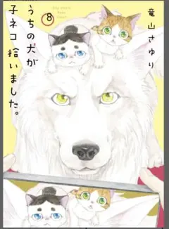 うちの犬が子ネコ拾いました。 8