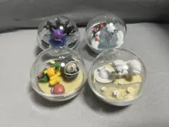 フシギバナ、リザードン、カメックス、ミュウツー等 テラリウム