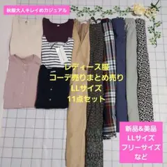 レディース服コーデ売りまとめ売り　LLサイズ11点　秋服大人キレイめカジュアル