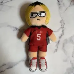 ハイキュー!! ジロリ ぬいぐるみ 孤爪研磨