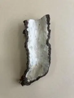 Item thumbnail for item b8aebf34-6ed7-48be-9e2c-093b1b17e133