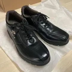 Item thumbnail for item 04a1c7b5-10ea-4a1a-bd1c-d40e91f6c5ae