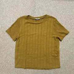 ZARA マスタード ストライプ 半袖 Tシャツ