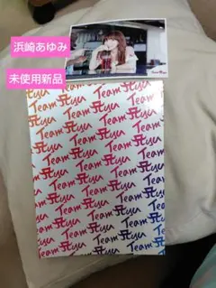 浜崎あゆみ　a-nation　Team ayu　フォトアルバム　生写真　グッズ