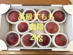 本州クール便送料込み1キロ【信州中野産 プラム（静香・大石早生他