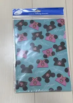 東京ディズニーリゾート　クリアファイル　クリアホルダー　キャップ柄　カラフル