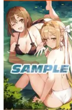 ライザのアトリエ2 アニメイト購入特典タペストリー - メルカリ