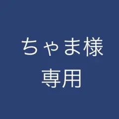 ちゃま様専用