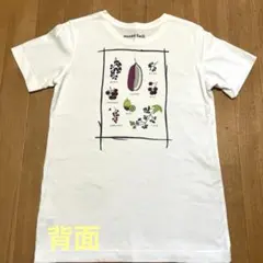 mont-bell モンベル 半袖Tシャツ 木の実シリーズ　Sサイズのサムネイル