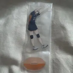 期間限定【大量まとめ売り】ハイキュー！！アクリルスタンド　月島蛍　烏野高校