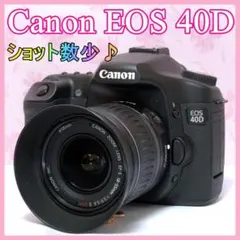 2026年最新】EOS 40D レンズの人気アイテム - メルカリ