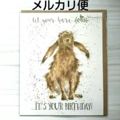 Item thumbnail for item 354ab0a8-364e-4c12-bece-c33fd022d30f