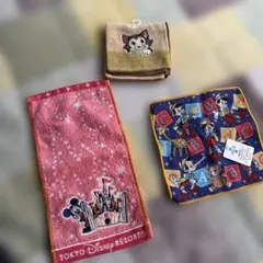 東京ディズニーリゾート ディズニーストア ハンカチ タオル 3点まとめて