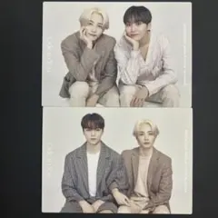 SEVENTEEN Ode to You ツアートレカ ペアトレカ