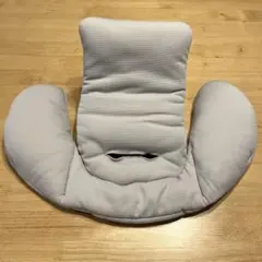 Item thumbnail for item 6e41bc85-ed49-472c-a726-e4ba78a26245