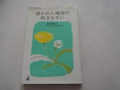 Item thumbnail for item 73e3fd15-019e-483b-97c2-9714b12bee18