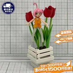チューリップ 恋の告白 TVチャンピオン プロモデラー選手権 花言葉 フィギュア