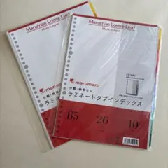 Item thumbnail for item 53eefb3f-2642-40ac-9068-41683dfcfbbd