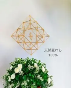 Item thumbnail for item ecd9f810-5429-4659-ab22-ddacb5fca441