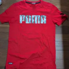 PUMA 赤 ロゴ Tシャツ