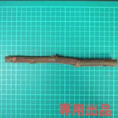 イチジクの穂木 専用出品