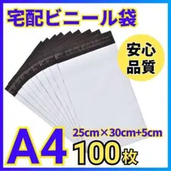 Item thumbnail for item 675fbad2-1d1e-4469-a3fc-e72aad8ccff0