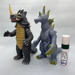 2025年最新】シーゴラスの人気アイテム - メルカリ