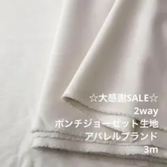A5X/4068◆3m 感謝祭/ポリ2wayポンチジョーゼット生地