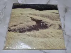 かぐや姫 今日 LP
