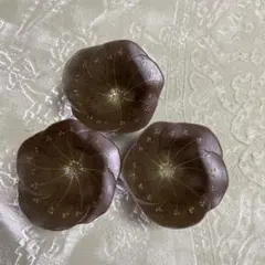 漆製 花びら型小皿 3点セット