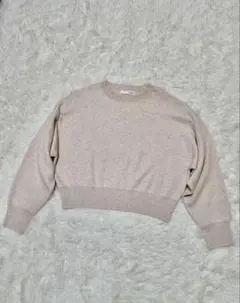 COLLAGE GALLARDAGALANTE クロップドスウェットニット