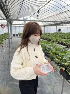 アイボリー ケーブルニット 長袖 クロップド丈