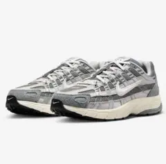 NIKE ナイキ P-6000