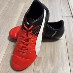 前川黛也選手 サイン入りシューズ 実使用品 - メルカリ
