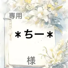 ＊ちー＊ 様　専用