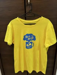 最終値下げ！The North Face キャンプ　レアデザイン　Tシャツ